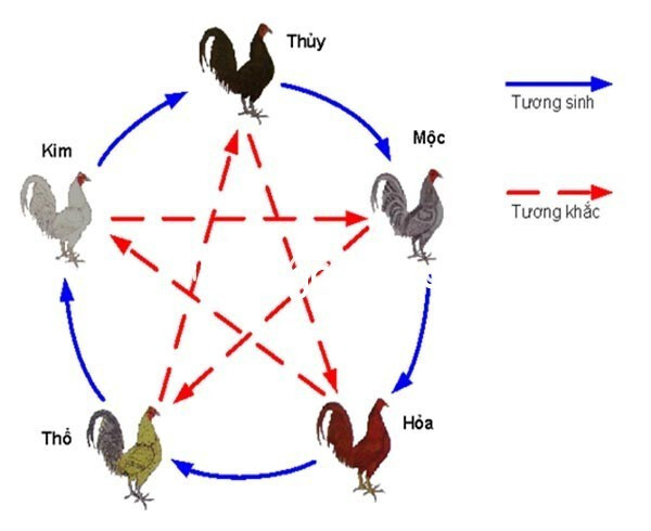 Màu mạng gà đá và những thông tin liên quan 5 Màu mạng gà đá với những tay chơi chuyên nghiệp là thuật ngữ không quá xa lạ