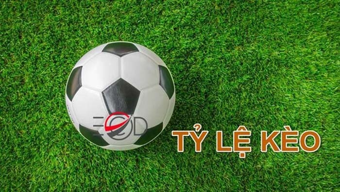 Hướng dẫn chơi kèo châu Âu như các cược thủ 4 Những mẹo hay dự đoán tỷ lệ kèo cược trong cá độ bóng đá