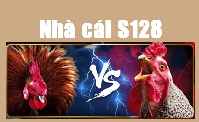 Top 5 trang web cá cược đá gà uy tín bậc nhất hiện nay 9 Top 5 trong top 5 trang web cá cược đá gà uy tín - Nhà cái đá gà S128