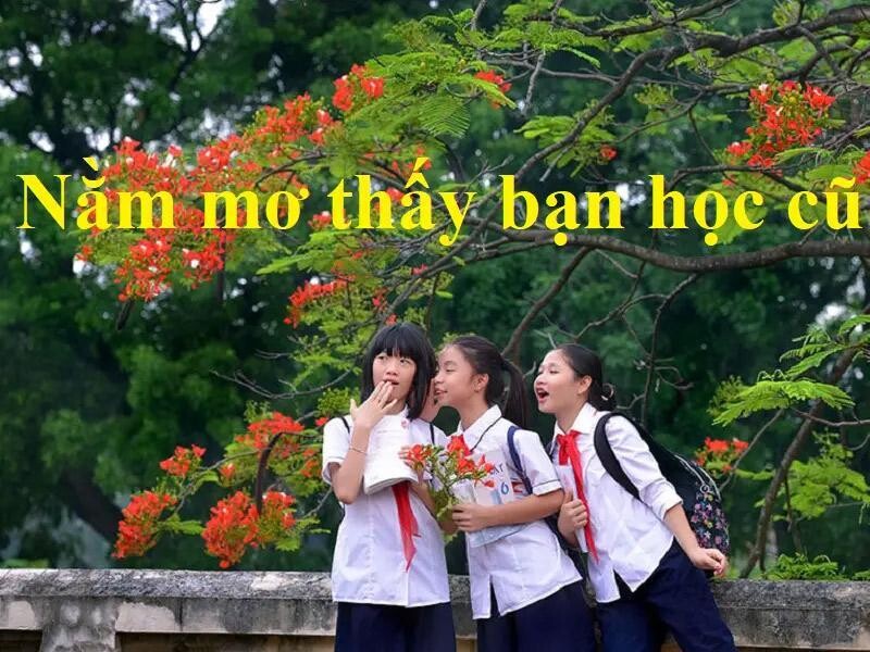 Giải đáp nằm mơ thấy bạn học cũ có điềm báo gì? Quất con gì ăn to? 6 Nằm mơ thấy người bạn hồi đi học nhưng lâu rồi chưa hỏi thăm