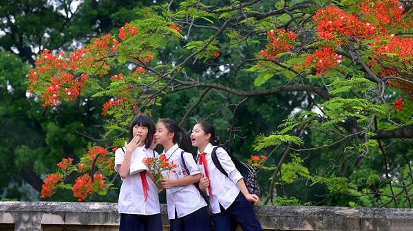 Giải mã giấc mơ: Mơ đi học đánh con gì dễ trúng lớn? 7 Nằm mơ thấy đi học trễ đánh con gì?